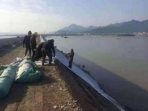 鱼塘护坡水泥毯